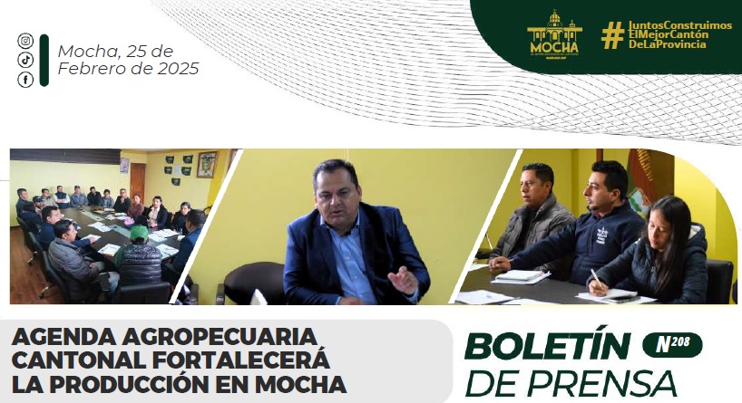 Boletin 208 F11042025