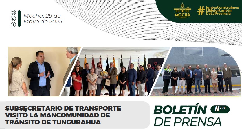 Boletin N239 F29052025