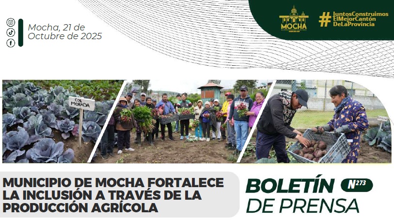 Boletin N273 F22102025