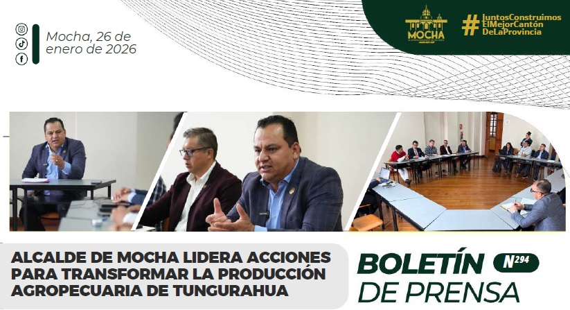 Boletin N294 F19022026